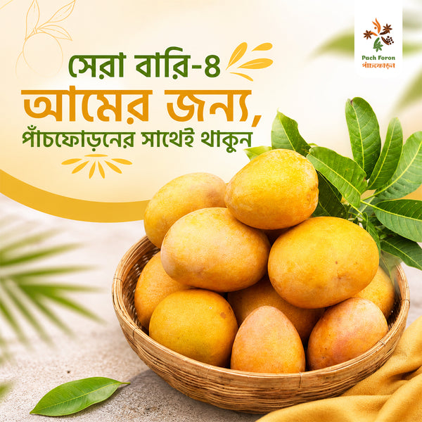 Sweet Bari 4 Mango(বারি-৪ আম)